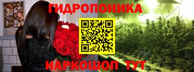 соль ск Волгодонск